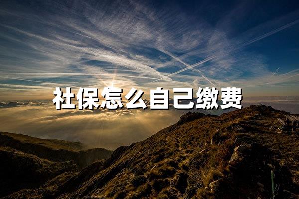社保怎么自己缴费：2025年个人参保全流程详解与避坑指南
