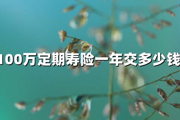 100万定期寿险一年交多少钱？2025年最新价格解析与投保指南