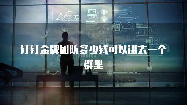 钉钉金牌团队多少钱可以进去一个群里