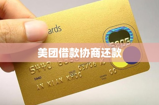 美团借款协商还款