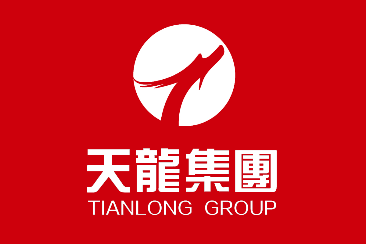 天龙集团标志logo图片