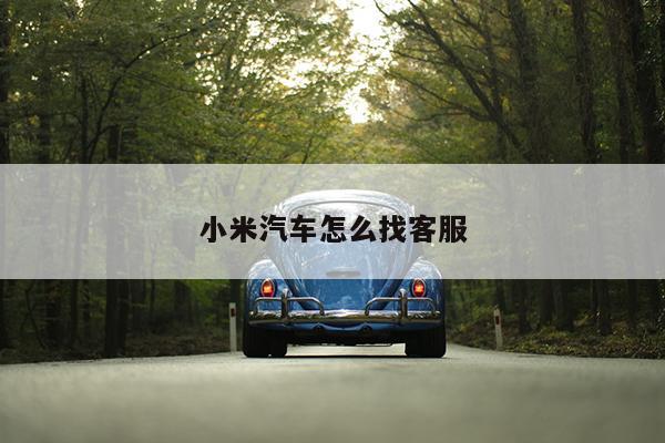 小米汽车怎么找客服-第1张图片-字节星河网