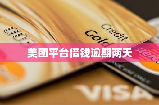 美团平台借钱逾期两天