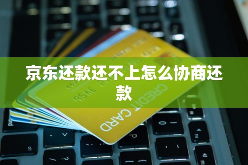 京东还款还不上怎么协商还款