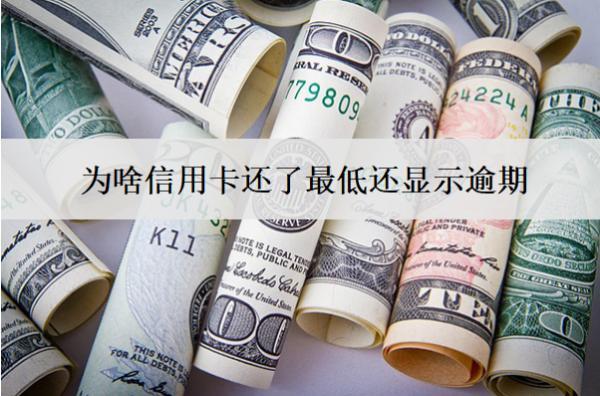 为啥信用卡还了最低还显示逾期？怎么解决？