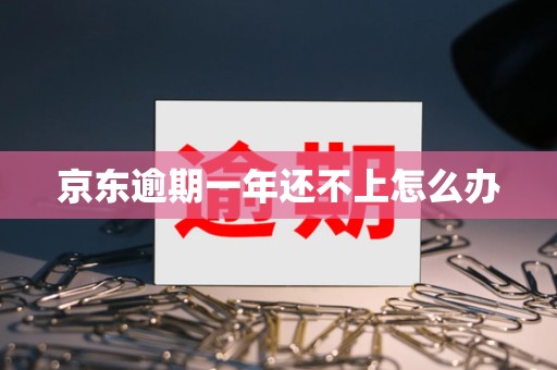 京东逾期一年还不上怎么办