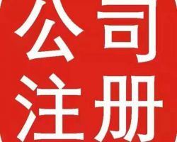 武汉公司注册网上登记入口