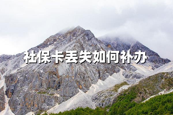 社保卡丢失如何补办在手机上？2025年最新线上补办指南