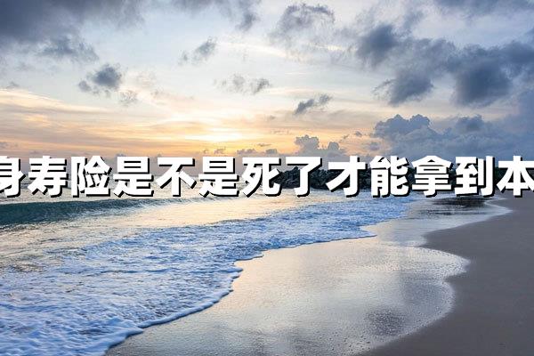 终身寿险是不是死了才能拿到本金？全面解析投保误区与收益方式