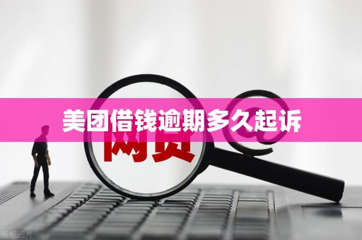 美团借钱逾期多久起诉