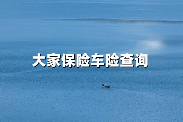 大家保险车险查询：3分钟掌握全渠道快速查询技巧