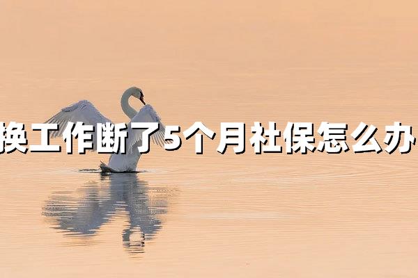 换工作断了5个月社保怎么办？补救攻略与最新政策解读