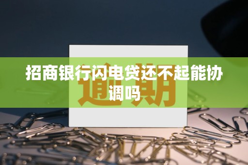 招商银行闪电贷还不起能协调吗
