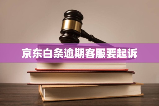 京东白条逾期客服要起诉