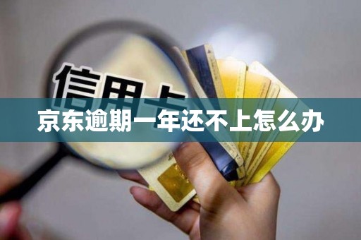 京东逾期一年还不上怎么办