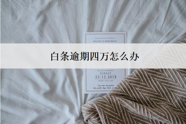 白条逾期四万怎么办？按这个步骤办
