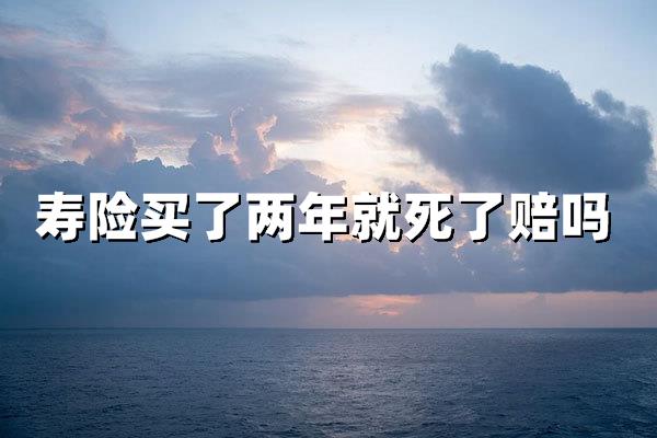 寿险购买两年后身故，能获得理赔吗？关键问题全解析