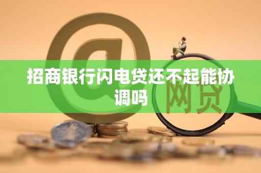 招商银行闪电贷还不起能协调吗