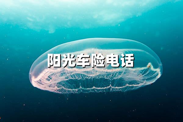 阳光车险电话24小时人工服务热线：全天候守护您的行车安全