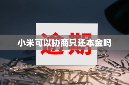小米可以协商只还本金吗