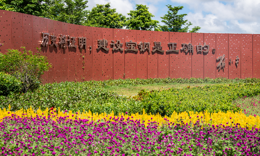 LSC_1256.JPG