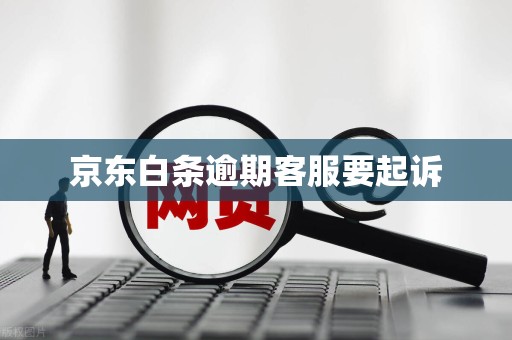 京东白条逾期客服要起诉