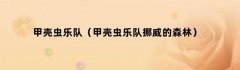 甲壳虫乐队（甲壳虫乐队挪威的森林）