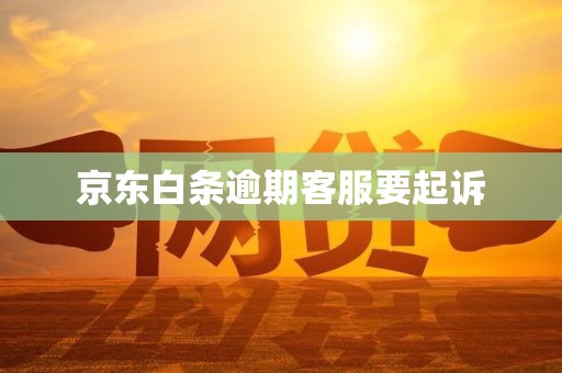 京东白条逾期客服要起诉