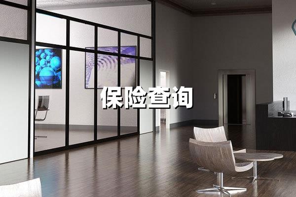 保险查询全攻略：2025最新渠道与实用技巧