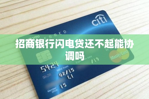 招商银行闪电贷还不起能协调吗