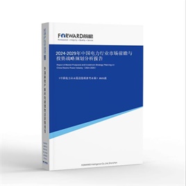 2025-2030年中国电力行业市场前瞻与投资战略规划分析报告