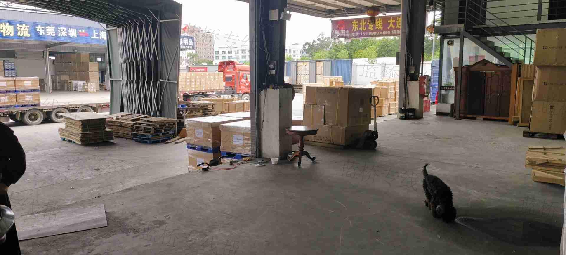 东莞市金川物流有限公司