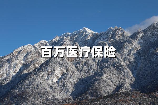 2025年百万医疗保险投保指南：高性价比与长续保成主流