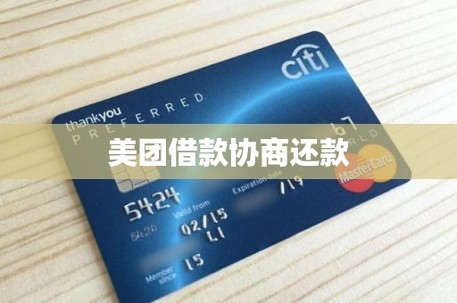 美团借款协商还款