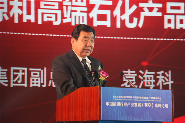 陕西延长石油集团公司副总经理袁海科.jpg