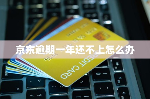 京东逾期一年还不上怎么办
