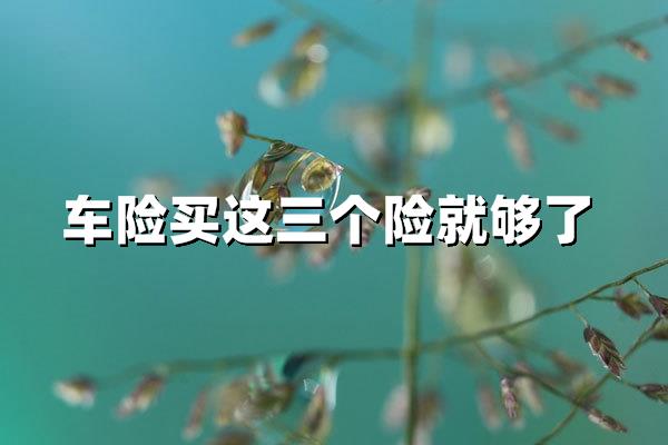 车险买这三个险就够了不用交车船税！2025年最省心投保指南