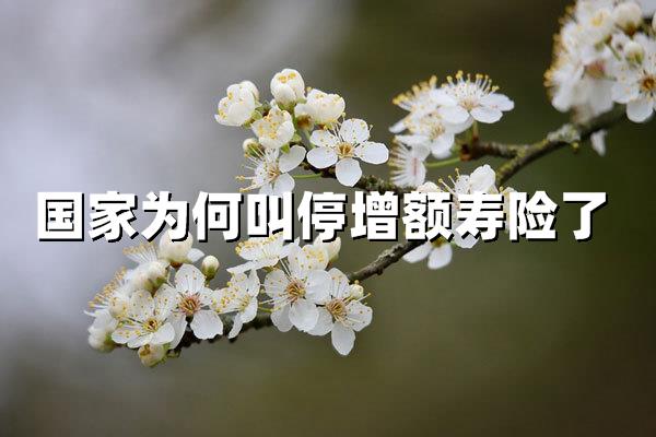 国家为何叫停增额寿险？深度解析监管背后的三大动因