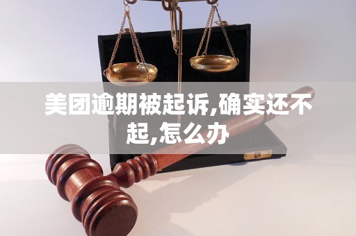 美团逾期被起诉,确实还不起,怎么办