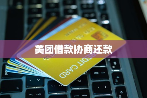 美团借款协商还款