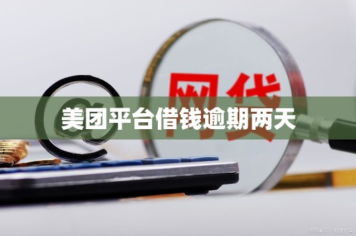 美团平台借钱逾期两天