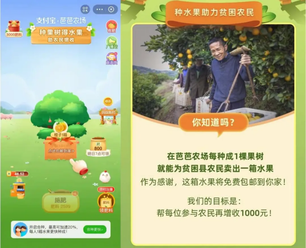 图片14.png