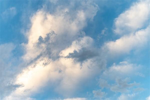 保险公司不退保怎么办？保险公司最怕的投诉电话为什么打不通？