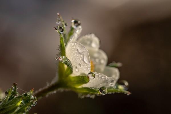 平安保险公司投诉电话号码是多少？电话投诉有用吗？